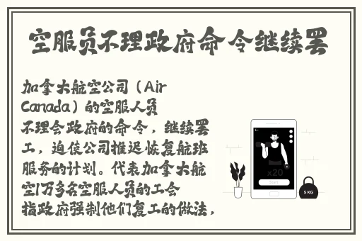 国产精品视频在线观看
